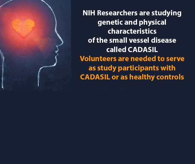 NIH CADASIL Natural History Study