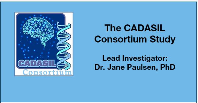 CADASIL Consortium Study