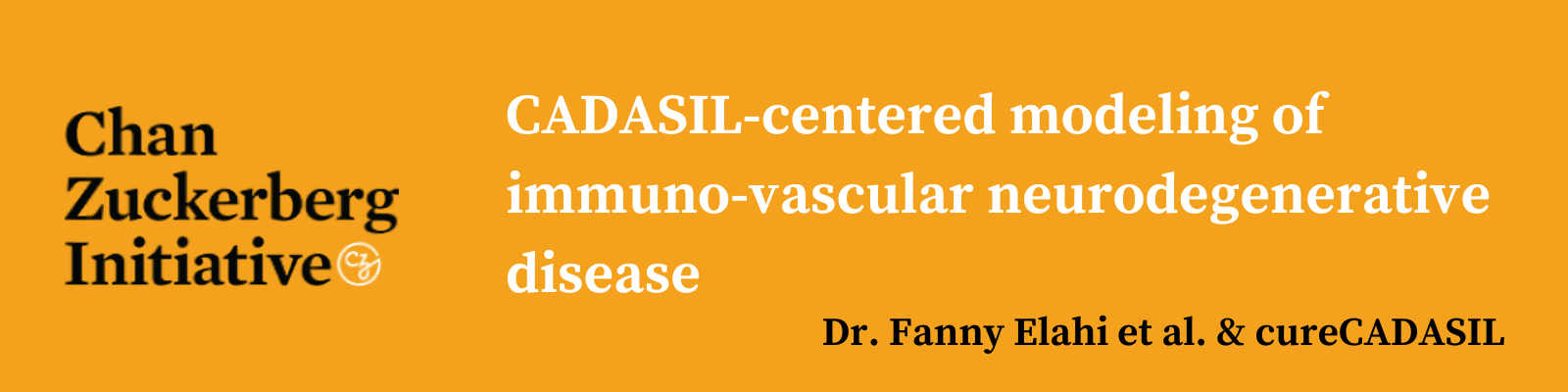 cureCADASIL – CZI Research Banner